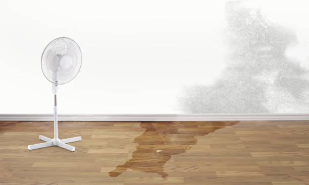 Best Emergency water damage restoration  in Pecos, TX